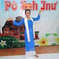 Hoa Mi Mai