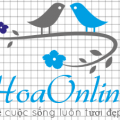 chợ hoa online