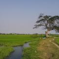 nguoicham